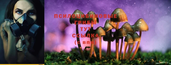 ALPHA PVP Михайлов