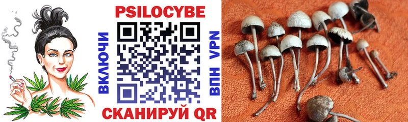 Галлюциногенные грибы MAGIC MUSHROOMS  Купить  Ртищево 